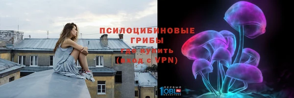 прущие крисы Белокуриха