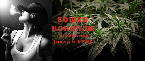 прущие крисы Белокуриха