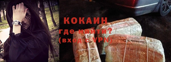 мдпв Бородино