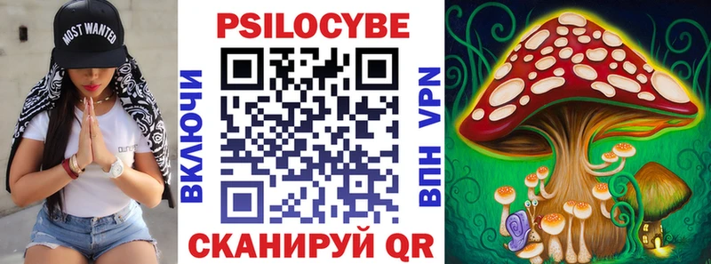 цены   Демидов  Псилоцибиновые грибы Psilocybine cubensis 